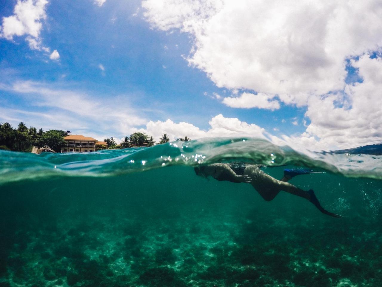 Turtle Bay Dive Resort Moalboal Dış mekan fotoğraf